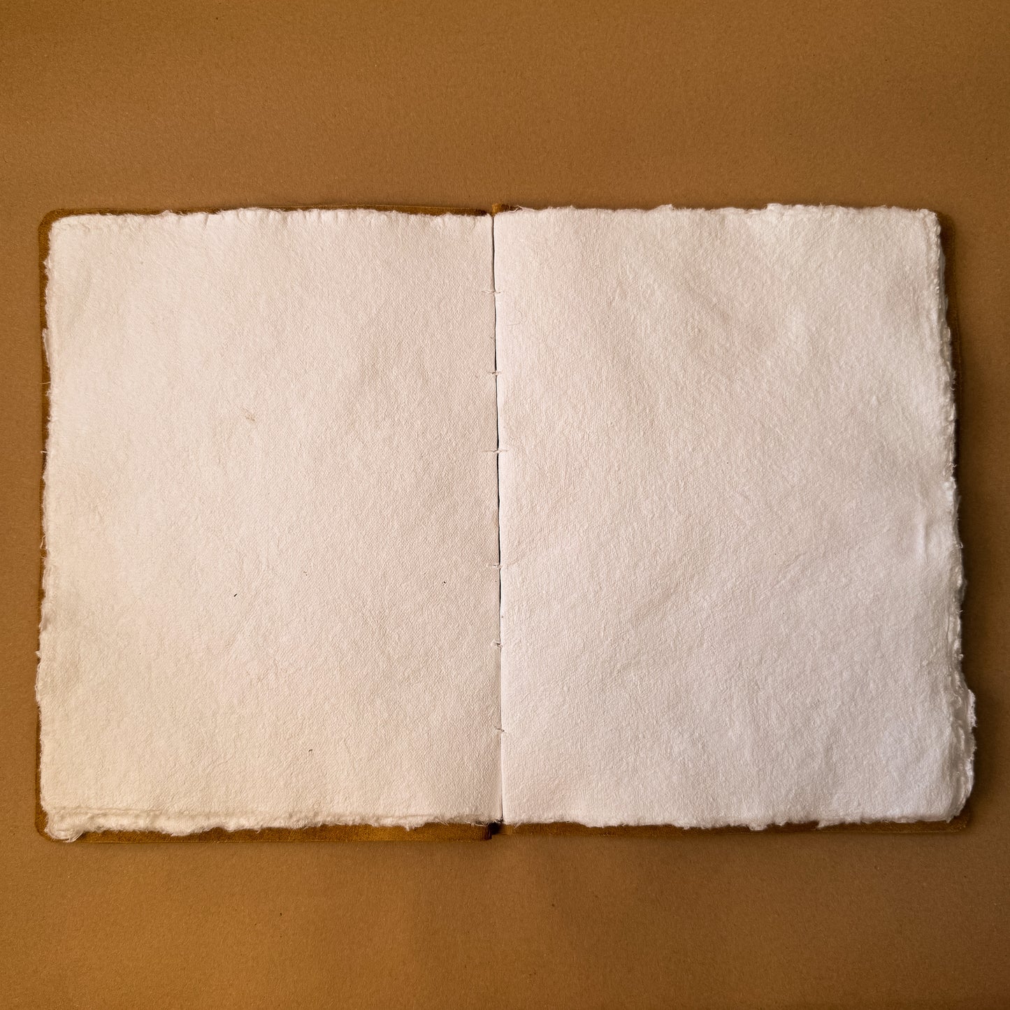 The Artitst's Sketchbook