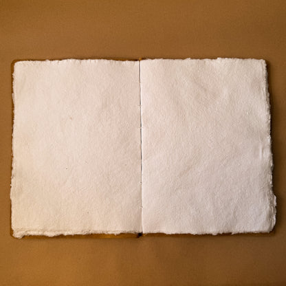 The Artitst's Sketchbook