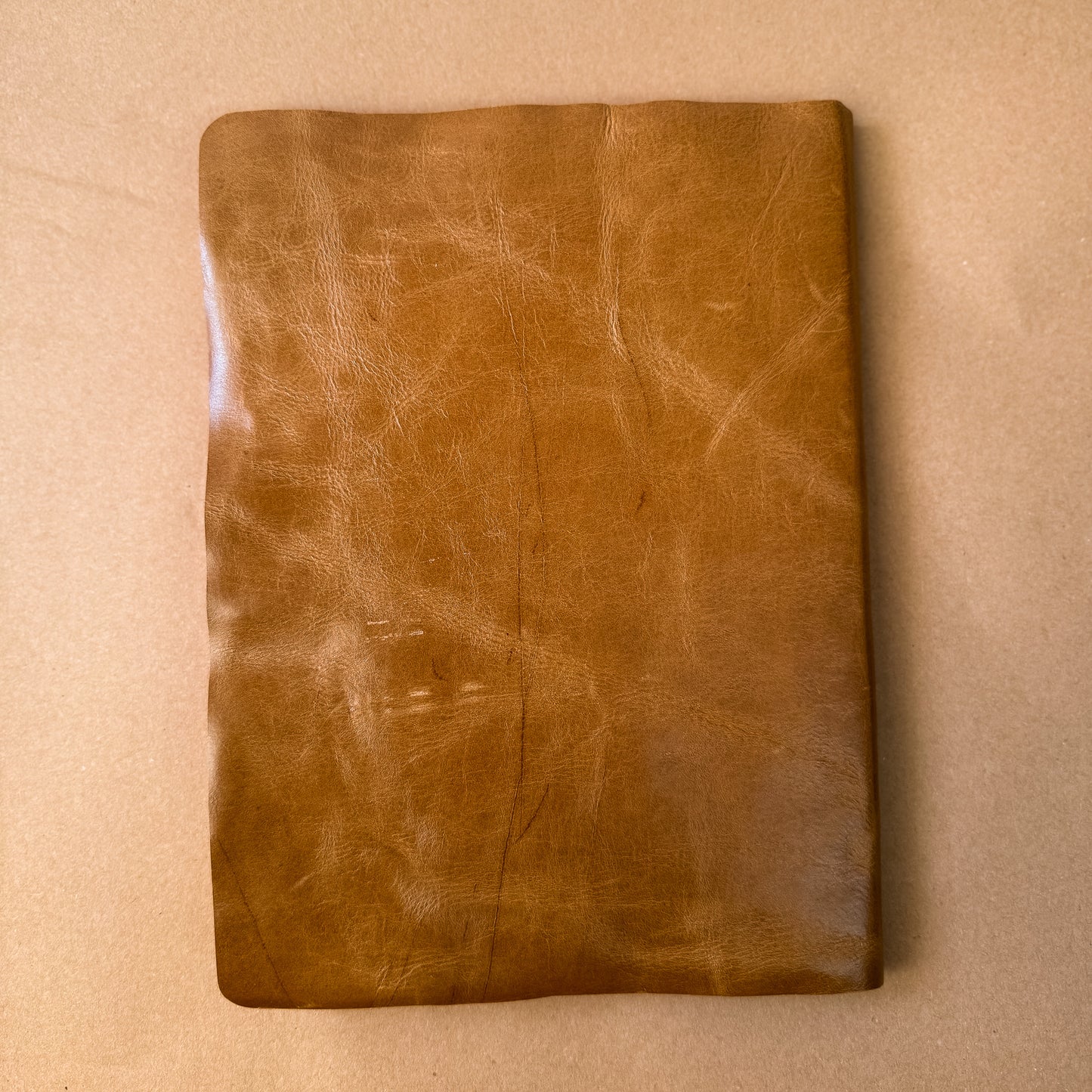 The Artitst's Sketchbook